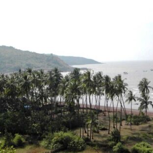PALGHAR